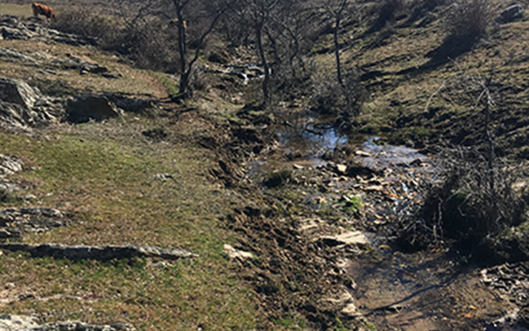 Caminando con Beatriz