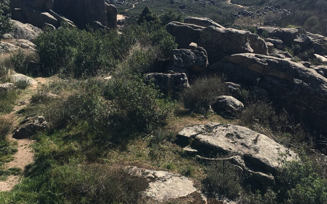 Caminando con Beatriz